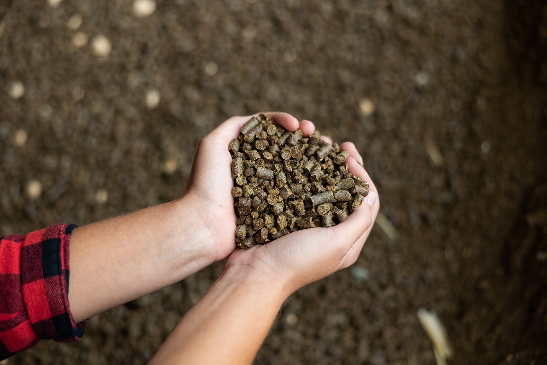 Hundefutter purinarm in Haenden geformt

